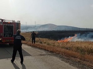 Siirtte Havalimanına sıçrayan yangında 50 dönüm arazi yandı  