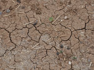 Tarımsal üretimde ciddi bir kuraklık riski var!