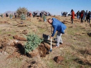 11 Kasım Milli Ağaçlandırma Günü Türkiye Yüzyılına Nefes temasıyla kutlanacak