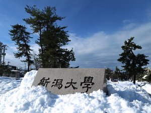 Japonyada yoğun kar nedeniyle binlerce hane elektriksiz kaldı  