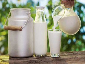 Ticari süt işletmelerince 873 bin ton inek sütü toplandı  