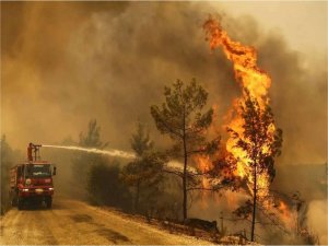 Rusya’daki orman yangınlarında 21 kişi öldü 