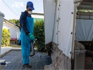 Güney Afrikada kolera salgını: 10 ölü 