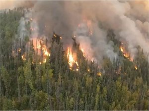 Kanadada orman yangını nedeniyle acil durum ilan edildi  