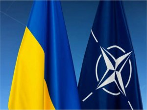 Almanya: Savaş devam ederken Ukrayna’nın NATO üyeliğinden söz edilemez  