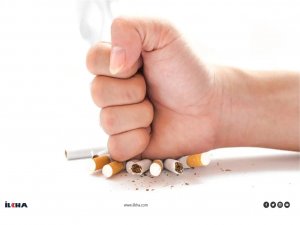 Tütün zararlı bir alışkanlık olduğu gibi etki alanı da çok fazladır  