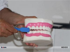 Diş Hekimi Gök: Sağlık ağızdan başlar  