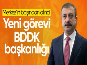Şahap Kavcıoğlu, BDDKnın başına atandı
