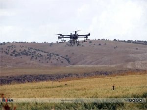 Çiftçiler tarlalarını drone ile ilaçlamaya yöneliyor  