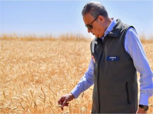Diyarbakır Valisi Su, buğday hasadı programına katıldı  