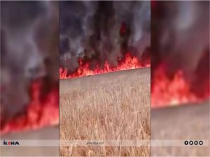 Aynı bölgede bir gün arayla ikinci yangın: Ekili tarlalar küle döndü  