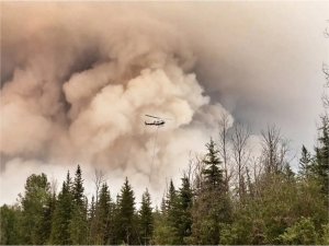 Kanadada şu ana kadar 900 orman yangını kaydedildi  