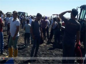 Diyarbakırda 30 dönüm ekili alan yandı