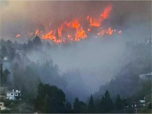 İspanya’da orman yangını: 4 bin 500 hektarlık alan kül oldu 