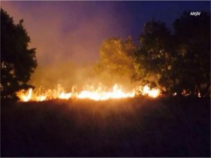 Diyarbakır’daki orman yangını kontrol altına alındı  