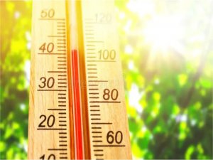 DSÖden sıcak hava uyarısı: Sağlık sistemleri üzerindeki baskıyı artırıyor 