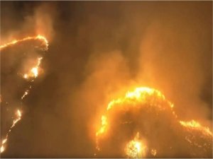 Hawaiide orman yangını: 6 ölü 