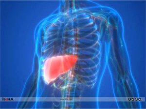 Uzmanından uyarı: Karaciğer yağlanması ölümcül hastalıklara neden oluyor!