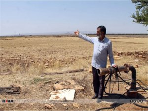 Diyarbakırlı çiftçi: Sulama yapmadığımız halde 3 fatura peş peşe geldi  