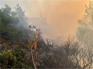 Bakan Koca: Çanakkaledeki orman yangınından 83 kişi etkilendi 
