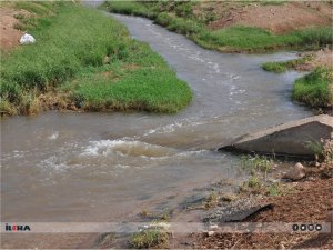 Vahşi sulamaya karşı uyarı: Ürüne ve toprağa ciddi zararı var  