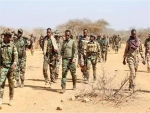 Somalide el-Şebaba operasyon: 120 ölü 