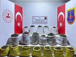 ​​​​​​​Diyarbakırda 277 bin kök kenevir bitkisi ile 445 kilogram esrar ele geçirildi 