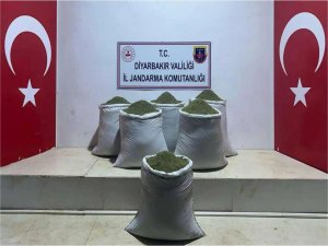 Diyarbakırda 229 kilogram toz esrar ele geçirildi 
