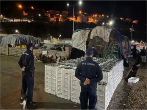 İstanbulda boy yasağına aykırı avlanılan 9 ton balığa el konuldu  