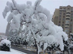 Güneydoğu Anadolu Bölgesi için yağmur ve kar uyarısı  