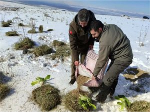 Kar yağışından etkilenen yaban hayvanlarını yemleme çalışması 
