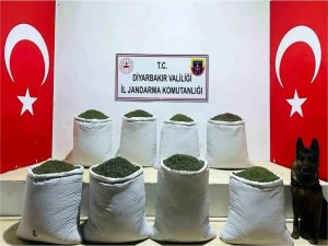 Diyarbakırda 169 kilogram toz esrar ele geçirildi 