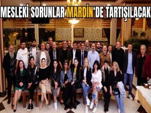 Gazeteciliğin sorunları Mardinde konuşulacak