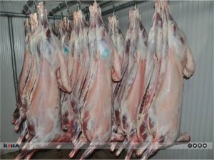 Kasaplar: Kırmızı et fiyatı düşüşe geçti 