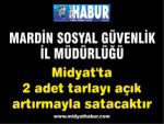 SGK Mardin Midyatta 2 adet tarlayı açık artırmayla satacaktır