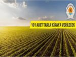 101 adet tarla kiraya verilecek