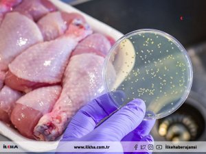 Gıda zehirlemelerine karşı uzmanlardan önemli uyarılar