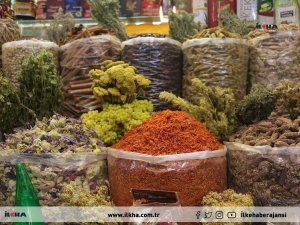Aktarlardan hastalıklara karşı şifalı bitki tavsiyeleri