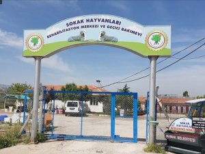 Köpek katliamı yaptığı öne sürülen Mamak Belediyesi çıkan haberler hakkında açıklamalarda bulundu
