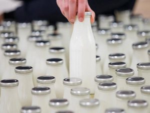 Süt ürünlerine köy, çiftlik ve geleneksel yazılamayacak