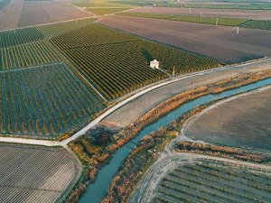 Tarım Bakanlığı: 6,34 milyon hektar arazi toplulaştırıldı