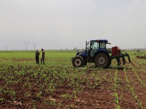Çiftçi Kayıt Sistemine son başvuru 31 Aralıkta