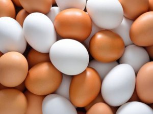 Beyaz ve kahverengi yumurtalar arasında renk dışında fark var mı?