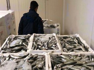 Yasa dışı balık avına 36 bin lira para cezası