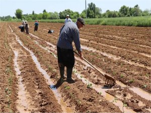 Orman köylüleri ve kooperatiflerinin kredi taksitleri ertelendi