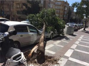 Şanlıurfa için kuvvetli fırtına ve toz taşınımı uyarısı
