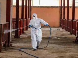 Zonguldakta şap hastalığı nedeniyle 215 köy karantinaya alındı