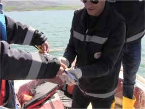 Siirtte baraj gölü havzasında balık stok ve verim tahmin ölçümü yapıldı