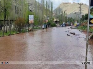 Aşırı yağış sonrası Nusaybin - Midyat karayolu ulaşıma kapatıldı