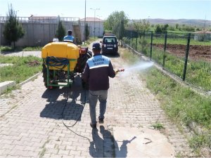 Bozovada larva ile mücadele sürüyor